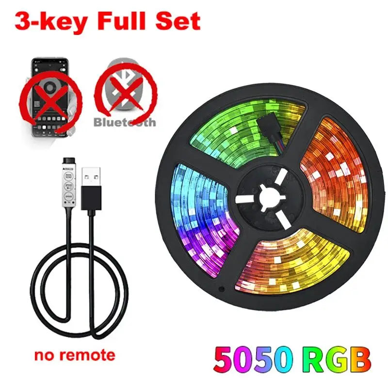 LED Strip Bluetooh APP IR remote Control USB RGB 5050 Lights Changed to Warm forBedroom TV Wall And Living Room Party Decoration