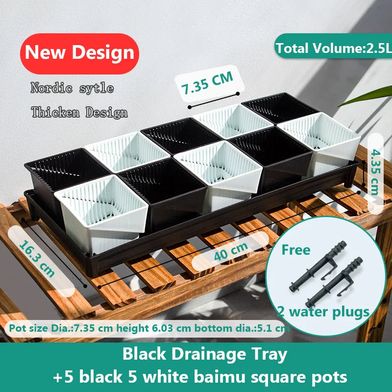 Meshpot Succulent Pot Set Cactus Pot Planter Good Air System Breathable Beyond Ceramic Planter Plastic Windowsill Flower Pot