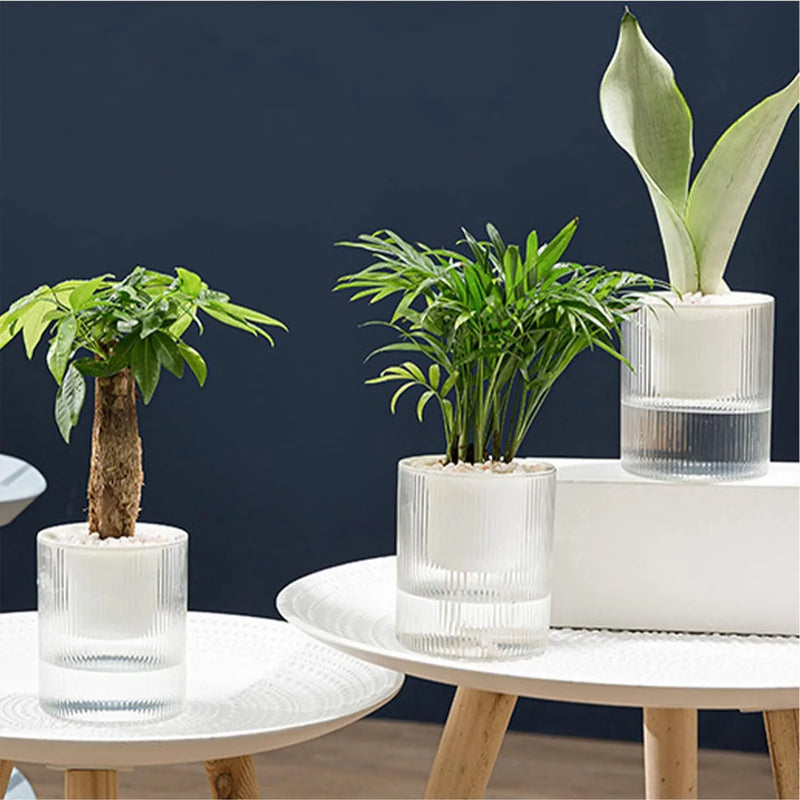 Lazy Flower Pot Automatic Water-absorbing Hydroponic Flowerpot Transparent Double Layer Plastic Planter Home Watering Planter