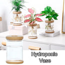Transparent Hydroponic Vase Plastic Vase Simple Style Plant Flower Pot Flower Arrangement Home Decoration Tabletop Ornament
