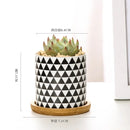 Nordic Geometric Pattern Ceramic Succulent Pot Straight Simple Black and White Home Decoration Succulent Small Potted Plant