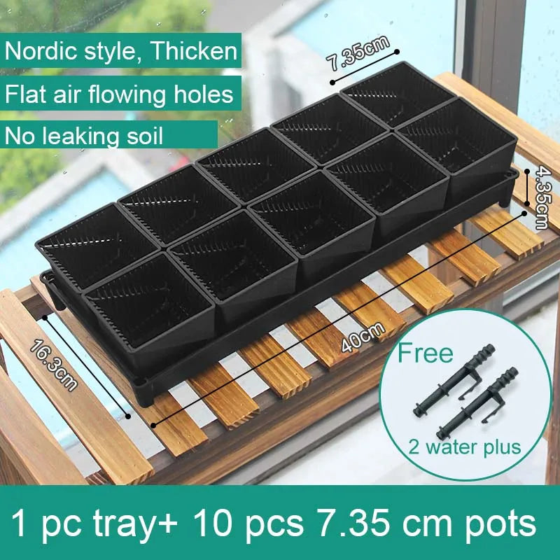 Meshpot Succulent Pot Set Cactus Pot Planter Good Air System Breathable Beyond Ceramic Planter Plastic Windowsill Flower Pot