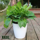 Hydroponic Flower Pot Plastic Self Watering Planter Flowerpot Office Garden Plants Basket Nursery Pots Home Decoration