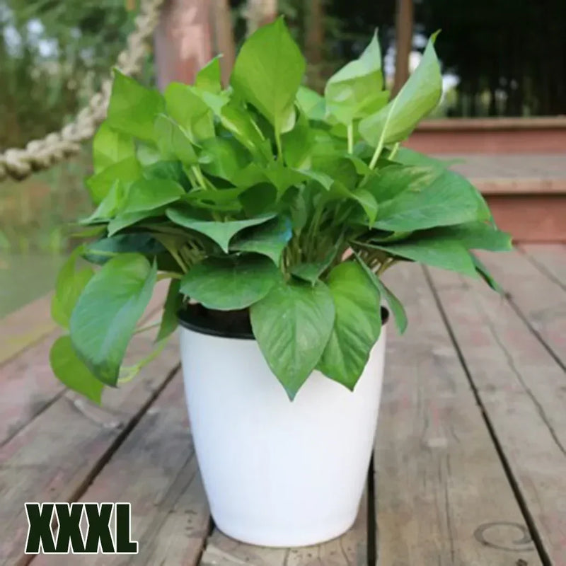 Hydroponic Flower Pot Plastic Self Watering Planter Flowerpot Office Garden Plants Basket Nursery Pots Home Decoration