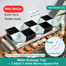 Meshpot Succulent Pot Set Cactus Pot Planter Good Air System Breathable Beyond Ceramic Planter Plastic Windowsill Flower Pot