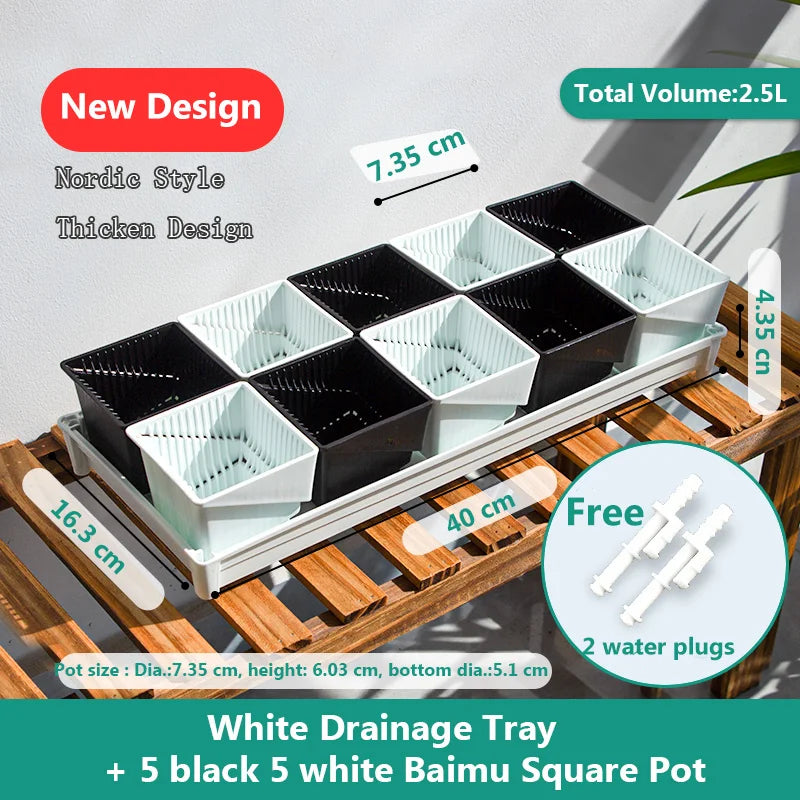 Meshpot Succulent Pot Set Cactus Pot Planter Good Air System Breathable Beyond Ceramic Planter Plastic Windowsill Flower Pot