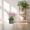 10Pcs Bendable Plant Stakes,16in/19.65in Garden  Single Stem Plant Support Stakes for Indoor Plants,Potted Plants,Flowers