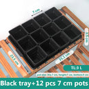 Meshpot Succulent Pot Set Cactus Pot Planter Good Air System Breathable Beyond Ceramic Planter Plastic Windowsill Flower Pot