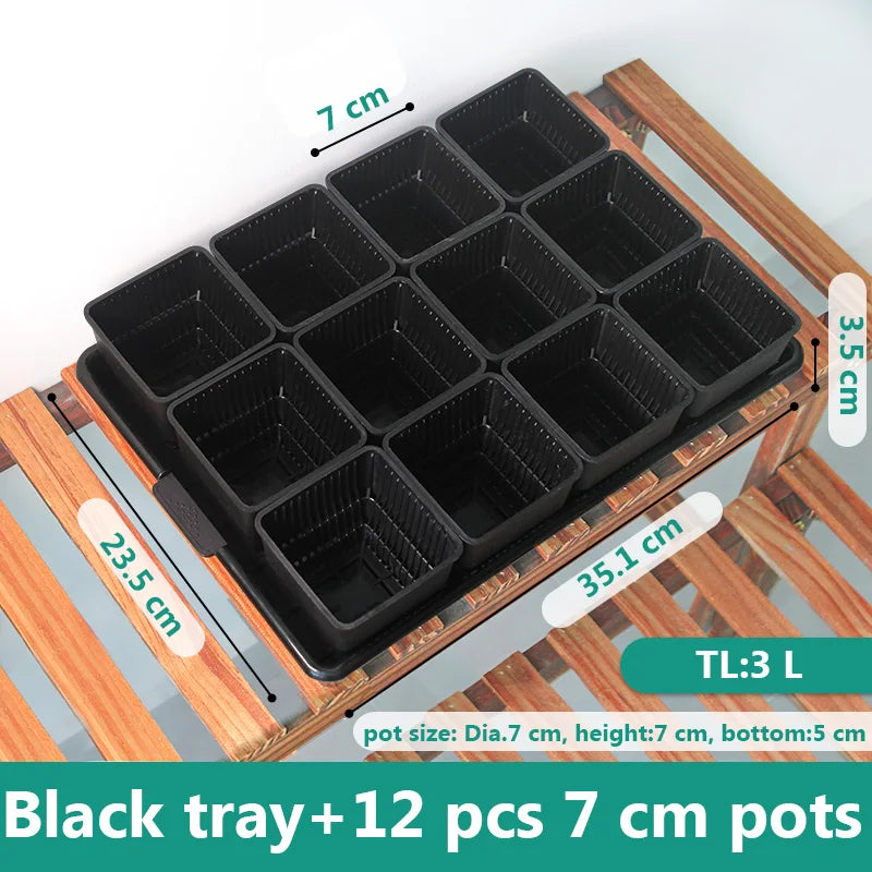 Meshpot Succulent Pot Set Cactus Pot Planter Good Air System Breathable Beyond Ceramic Planter Plastic Windowsill Flower Pot